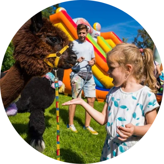 happypanda_atrakcje_1